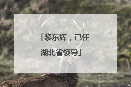 黎东辉，已任湖北省领导