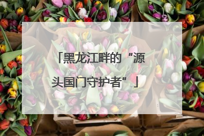 黑龙江畔的“源头国门守护者”