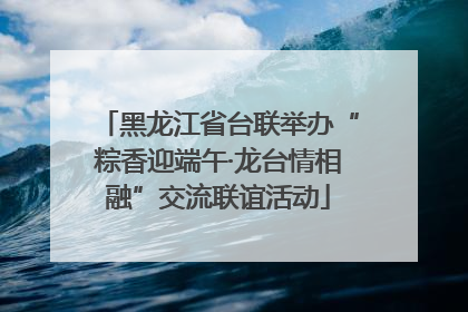 黑龙江省台联举办“粽香迎端午·龙台情相融”交流联谊活动