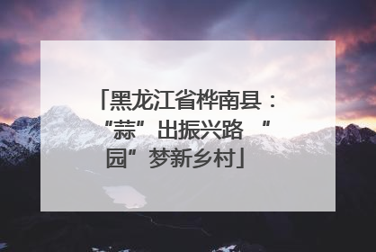 黑龙江省桦南县：“蒜”出振兴路 “园”梦新乡村