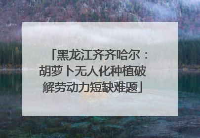 黑龙江齐齐哈尔：胡萝卜无人化种植破解劳动力短缺难题