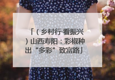 （乡村行·看振兴）山西寿阳：彩椒种出“多彩”致富路
