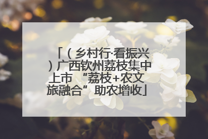 （乡村行·看振兴）广西钦州荔枝集中上市 “荔枝+农文旅融合”助农增收