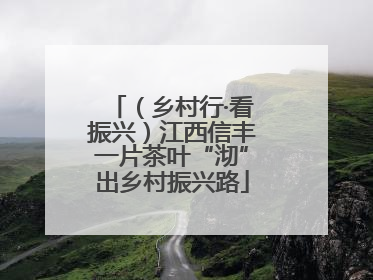 （乡村行·看振兴）江西信丰一片茶叶“沏”出乡村振兴路