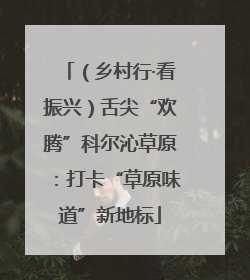 （乡村行·看振兴）舌尖“欢腾”科尔沁草原：打卡“草原味道”新地标