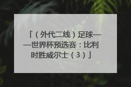 （外代二线）足球——世界杯预选赛：比利时胜威尔士（3）