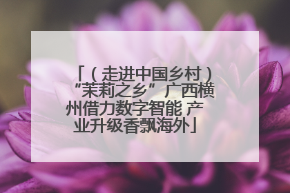 （走进中国乡村）“茉莉之乡”广西横州借力数字智能 产业升级香飘海外