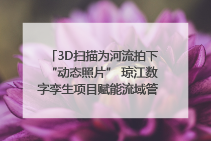 3D扫描为河流拍下“动态照片” 琼江数字孪生项目赋能流域管理｜新闻发布最前线