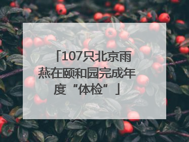 107只北京雨燕在颐和园完成年度“体检”
