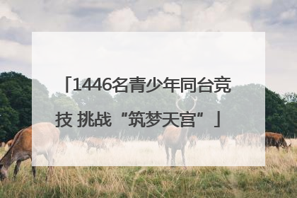 1446名青少年同台竞技 挑战“筑梦天宫”