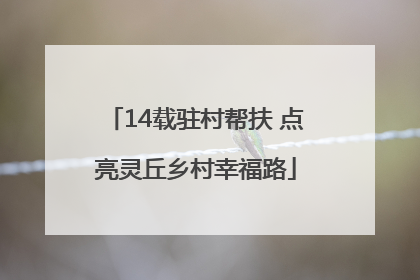 14载驻村帮扶 点亮灵丘乡村幸福路