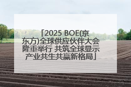 2025 BOE(京东方)全球供应伙伴大会隆重举行 共筑全球显示产业共生共赢新格局