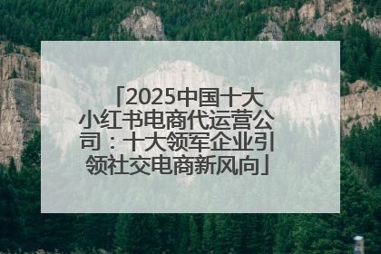 2025中国十大小红书电商代运营公司：十大领军企业引领社交电商新风向