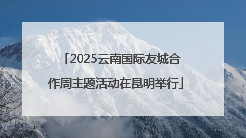2025云南国际友城合作周主题活动在昆明举行