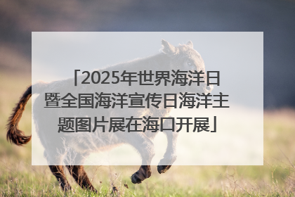 2025年世界海洋日暨全国海洋宣传日海洋主题图片展在海口开展