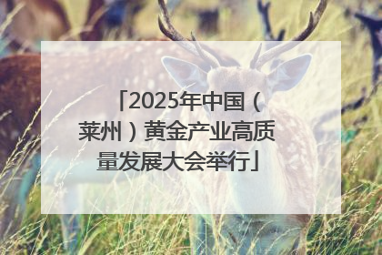 2025年中国（莱州）黄金产业高质量发展大会举行