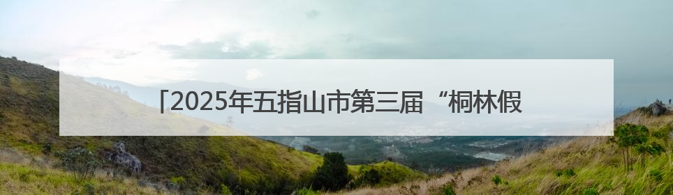 2025年五指山市第三届“桐林假日·老州府杯”足球比赛圆满落幕