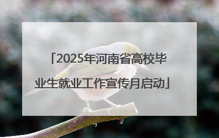 2025年河南省高校毕业生就业工作宣传月启动