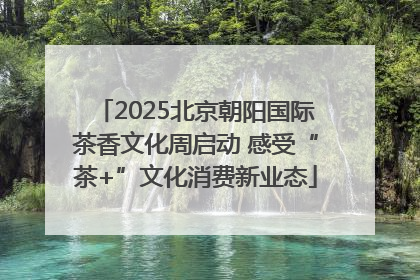 2025北京朝阳国际茶香文化周启动 感受“茶+”文化消费新业态