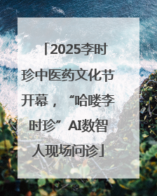 2025李时珍中医药文化节开幕，“哈喽李时珍”AI数智人现场问诊
