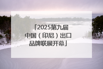 2025第九届中国（印尼）出口品牌联展开幕