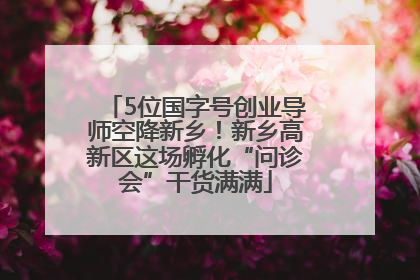 5位国字号创业导师空降新乡！新乡高新区这场孵化“问诊会”干货满满