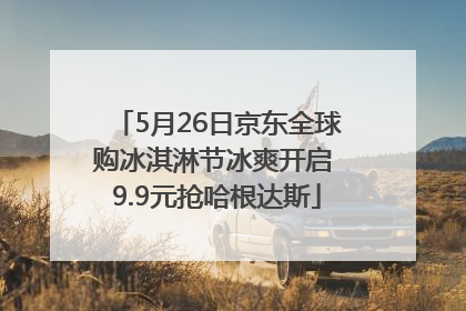 5月26日京东全球购冰淇淋节冰爽开启 9.9元抢哈根达斯