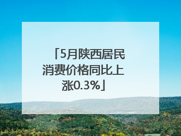 5月陕西居民消费价格同比上涨0.3%