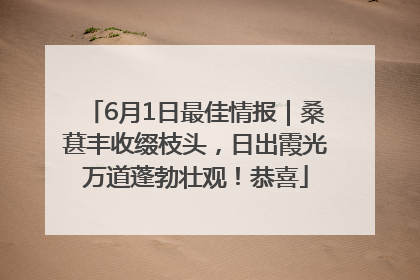 6月1日最佳情报｜桑葚丰收缀枝头，日出霞光万道蓬勃壮观！恭喜