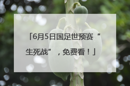 6月5日国足世预赛“生死战”，免费看！