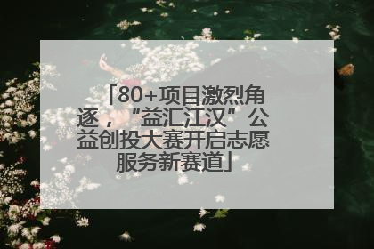 80+项目激烈角逐，“益汇江汉”公益创投大赛开启志愿服务新赛道