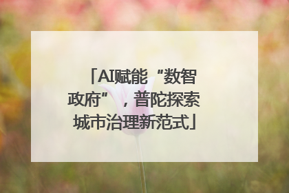 AI赋能“数智政府”，普陀探索城市治理新范式