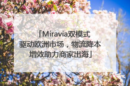 Miravia双模式驱动欧洲市场，物流降本增效助力商家出海