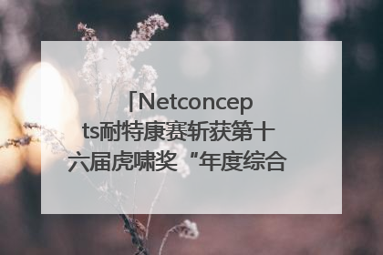 Netconcepts耐特康赛斩获第十六届虎啸奖“年度综合服务商”大奖