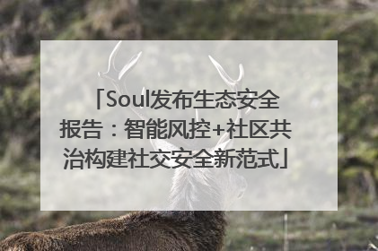 Soul发布生态安全报告：智能风控+社区共治构建社交安全新范式